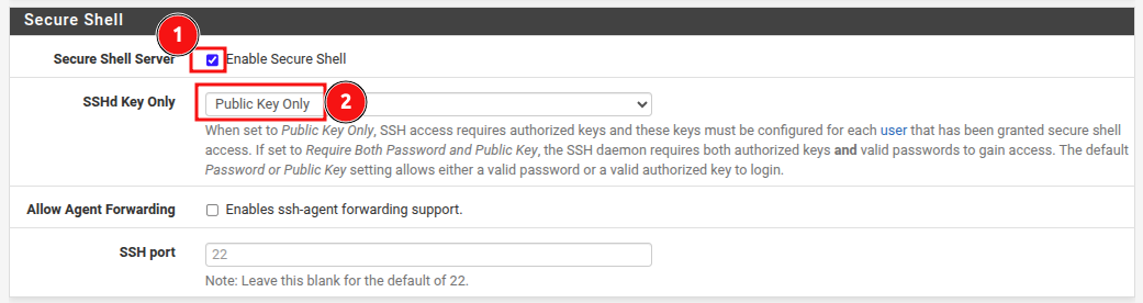 pfSense Enable Secure Shell